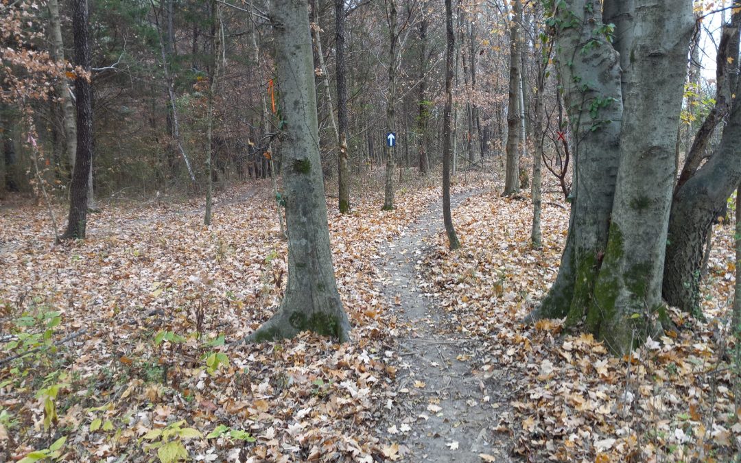 Ribbon Cutting set for new single-track trail on November 17