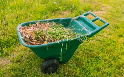 Yard Waste and Household Bulk Collection in Calvert City