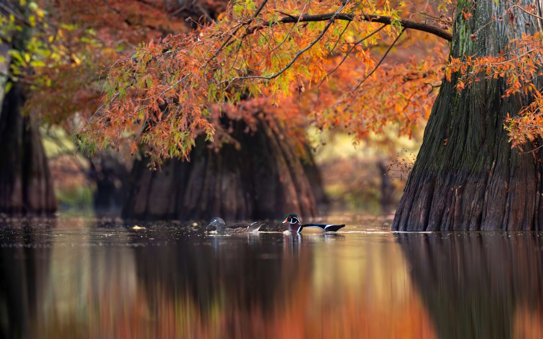 Calvert City announces winners of 2026 calendar photo contest